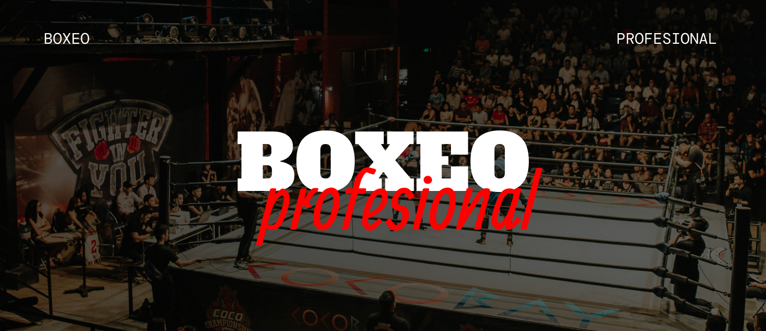 Imagen del Canal Boxeo Profesional